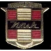 NASH CAR LOGO PIN