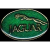 JAGUAR CAR OVAL LOGO GREEN PIN