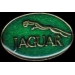 JAGUAR CAR OVAL LOGO GREEN PIN