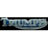 TRIUMPH LARGE CAST SCRIPT BLUE PIN