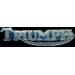 TRIUMPH LARGE CAST SCRIPT BLUE PIN