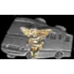 MOTOR HOME GUARDIAN ANGEL DX