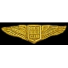MILE HIGH CLUB SCRIPT MINIWING PIN