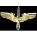 AVIATION PILOT PIN CADET PILOT WING LARGE PIN