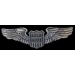 PRIVATE PILOT PIN PRIVATE PILOT WING PIN