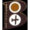 BONANZA AIRLINES LOGO PIN