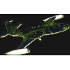 BANSHEE AIRPLANE PIN