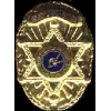 MCDONNELL DOUGLAS SECURITY BADGE PIN