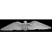 PILOT PIN PILOT INSTRUCTOR WING PIN