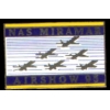 USN NAVY BLUE ANGELS 1995 MIRAMAR SHOW PIN DX