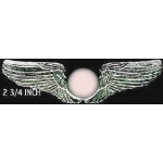 PRIVATE PILOT WING SILVER CIRCLE LARGE PIN