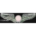PRIVATE PILOT WING SILVER CIRCLE LARGE PIN