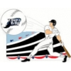 TAMPA BAY RAYS HOME RUN PIN