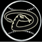 ARIZONA DIAMONDBACKS LOGO CUT OUT PIN