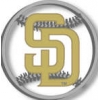 SAN DIEGO PADRES LOGO CUT OUT PIN
