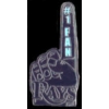 TAMPA BAY RAYS FAN LOGO PIN