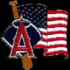 ANAHEIM ANGELS BAT USA FLAG PIN