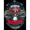 MINNESOTA TWINS BADGE