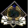TAMPA BAY DEVIL RAYS DIAMOND BANNER PIN