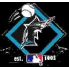 FLORIDA MARLINS ESTABLISHED PIN