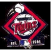 MINNESOTA TWINS ESTABLISHED PIN