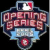 WASHINGTON NATIONALS OPENING SERIES PIN