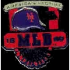 NEW YORK METS AMERICAS PASTIME SHIELD