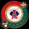 ANAHEIM ANGELS CIRCLE INTERLEAGUE