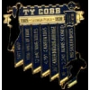 DETROIT TIGERS TY COBB CAREER RECORDS LOGO PIN