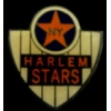 NEW YORK HARLEM STARS NEGRO LEAGUE PIN