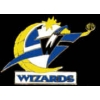 WASHINGTON WIZARDS PRIMARY OLD LOGO PIN