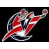 WASHINGTON WIZARDS PIN NBA PIN LOGO