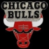 CHICAGO BULLS PRIMARY LOGO PIN