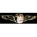 BETTY BOOP MOTORCYCLE WING LG PIN