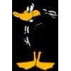 DAFFY DUCK LOONEY TUNE FREEFORM