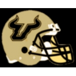 U SOUTHERN FLORIDA BULLS PIN FOOTBALL HELMET PIN