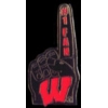 U WISCONSIN BADGERS FAN PIN U WISCONSIN BADGERS FAN PIN