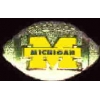 U MICHIGAN WOLVERINES FOOTBALL PIN