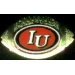 U INDIANA HOOSIERS FOOTBALL PIN