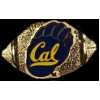 U CALIFORNIA BERKELEY GOLDEN BEARS FOOTBALL PIN