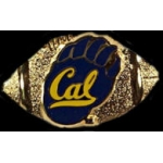 U CALIFORNIA BERKELEY GOLDEN BEARS FOOTBALL PIN