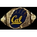 U CALIFORNIA BERKELEY GOLDEN BEARS FOOTBALL PIN