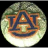 U AUBURN TIGERS BASKETBALL LOGO PIN