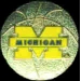 U MICHIGAN WOLVERINES PIN BASKETBALL UNIVERSITY OF MICHIGAN PINS