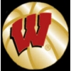 U WISCONSIN BADGERS BASKETBALL PIN U WISCONSIN BADGERS BASKETBALL PIN
