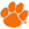 U CLEMSON TIGERS PIN PRIMARY LOGO CLEMSON UNIVERSITY PIN