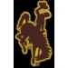 U WYOMING COWBOYS PIN UNIVERSITY OF WYOMING PRIMARY LOGO PIN