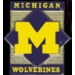 U MICHIGAN WOLVERINES DIAMOND PIN UNIVERSITY OF MICHIGAN PINS