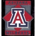 U ARIZONA WILDCATS PIN DIAMOND UNIVERSITY OF ARIZONA PINS