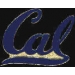 U CALIFORNIA BERKELEY GOLDEN BEARS LOGO PIN